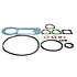 Bosch Gasket set centrifugal governor injection pump