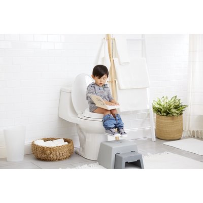 skip hop Go in time 3in1 Potty