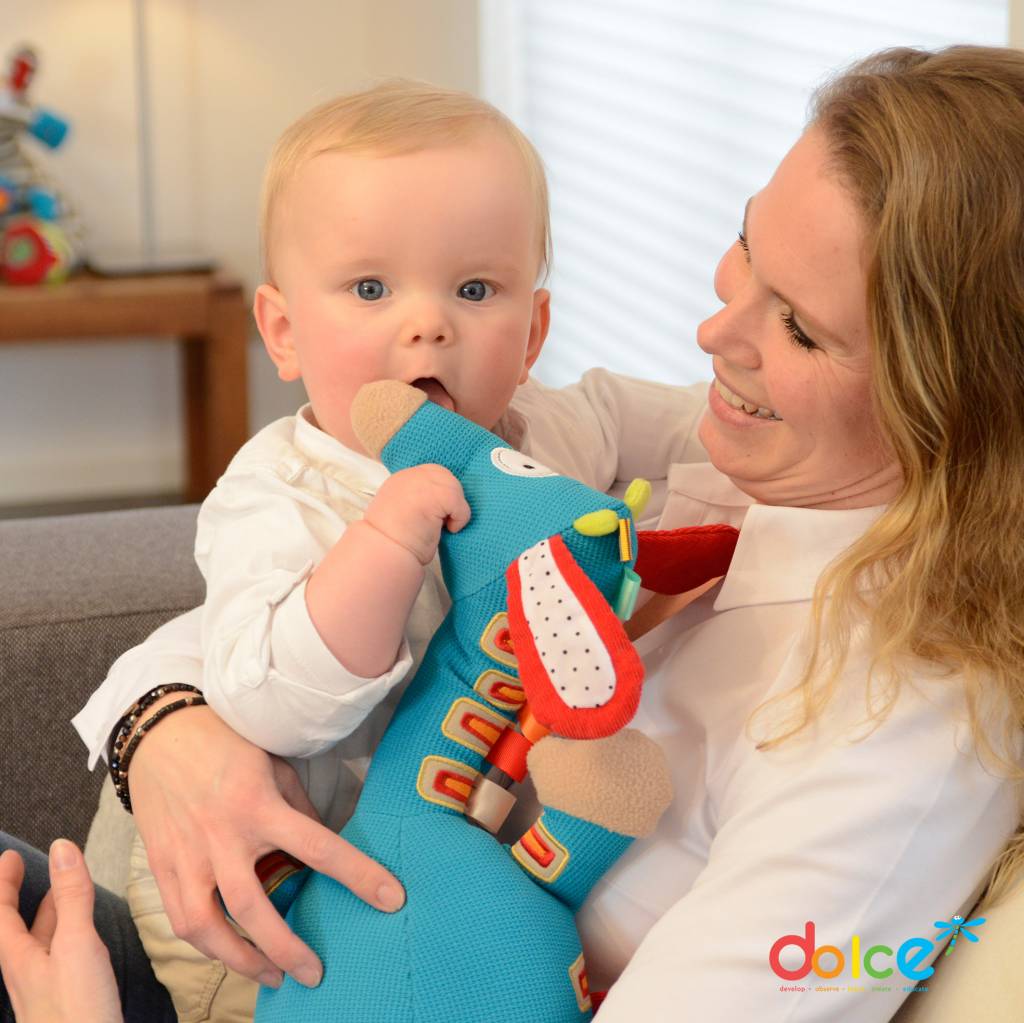 Dolce Toys Giraf - activiteitenknuffel