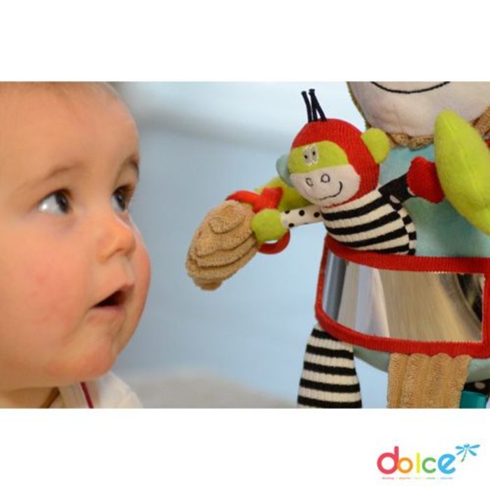 Dolce Toys Aap Charlie - activiteitenknuffel