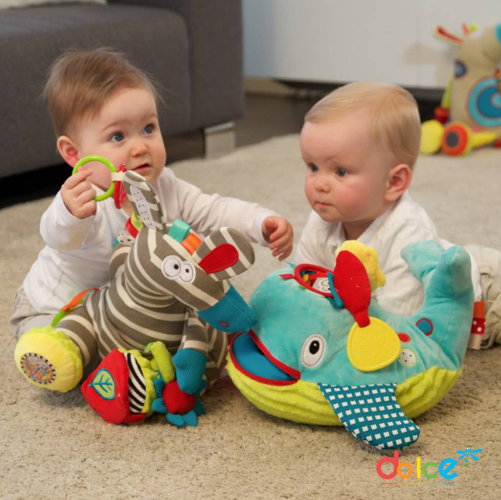 T inspanning Gezag Activiteitenknuffel Zebra, babyspeelgoed, gratis geleverd. - Educatief  Speelgoed