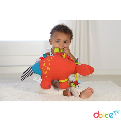 Dolce Toys Aardvarken Antoine - activiteitenknuffel