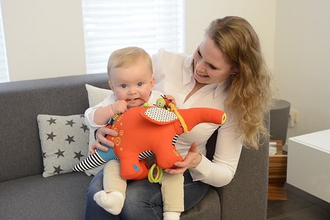 Dolce Toys Aardvarken Antoine - activiteitenknuffel