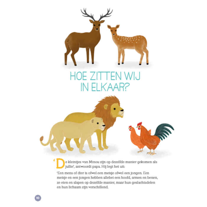 Deltas Seksuele voorlichting - allereerste infoboek, 4-6 jaar