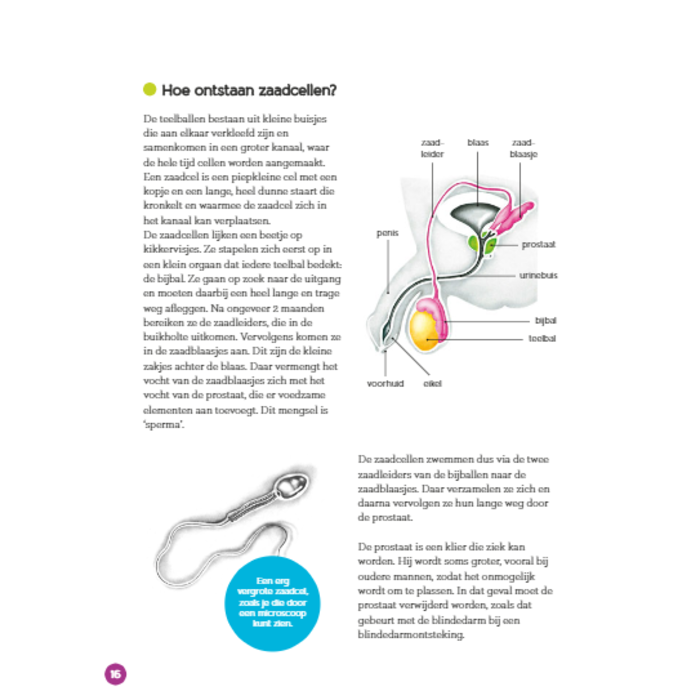 Deltas Seksuele voorlichting - in vraag en antwoord, 10-12 jaar