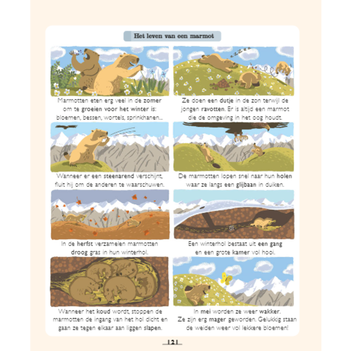 Deltas De wondere wereld van de natuur