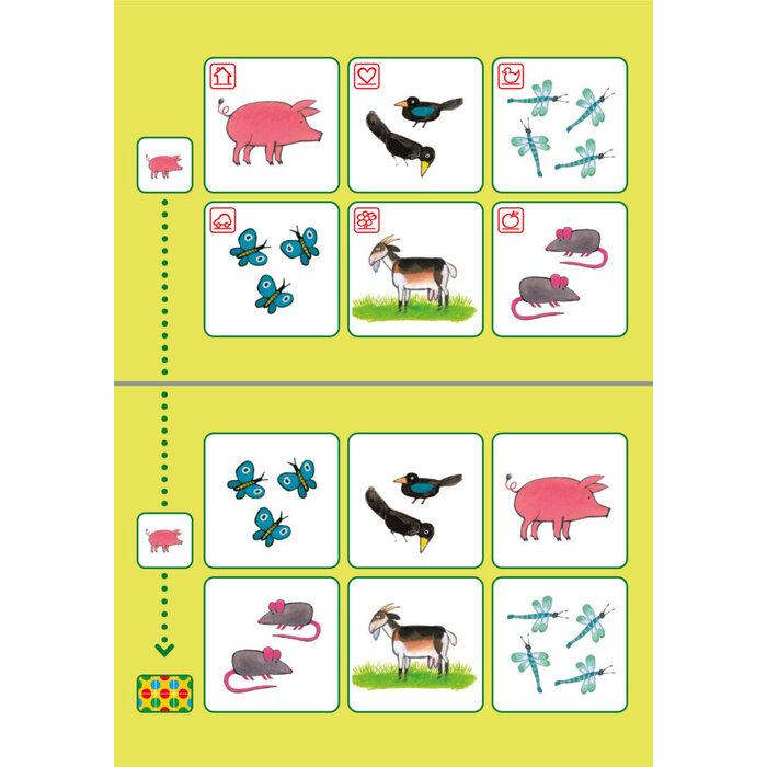 Loco Kikker pakket - basisdoos en 2 boekjes - spelen en leren (bambino)