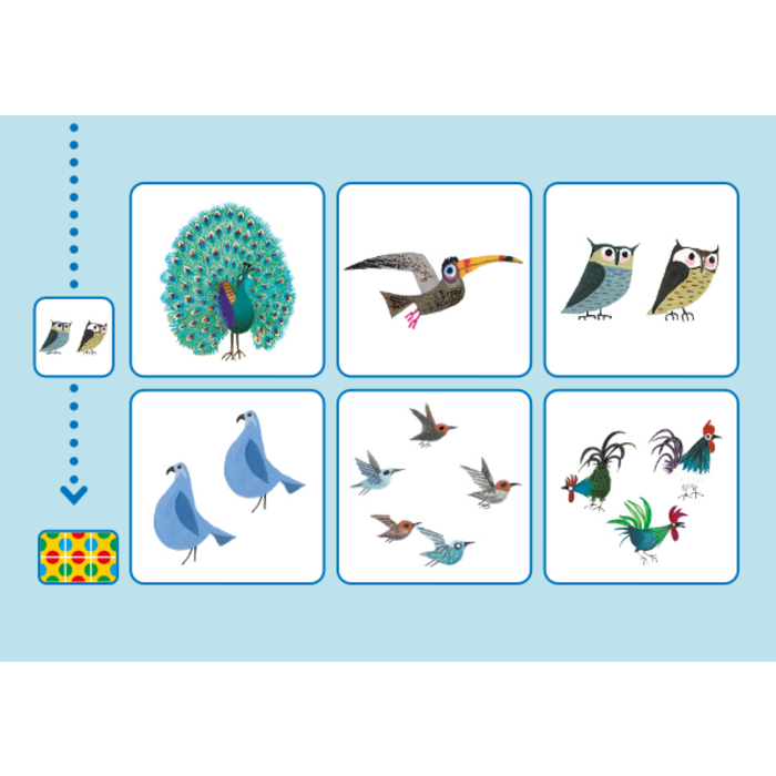 Loco Fiep Westendorp  pakket - basisdoos en 2 boekjes - spelen en tellen met dieren (bambino)