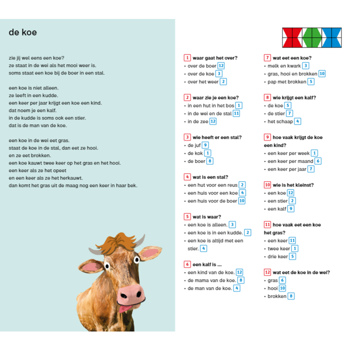 Loco Veilig Leren Lezen pakket - basisdoos en 2 boekjes - begrijpend lezen kern 7-11 (mini)