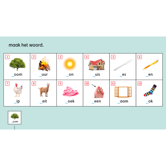 Loco Woorden leren (mini)