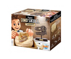 Buki Knutselpakket - Dinosaurusschedel - Tyrannosaurus opgraven