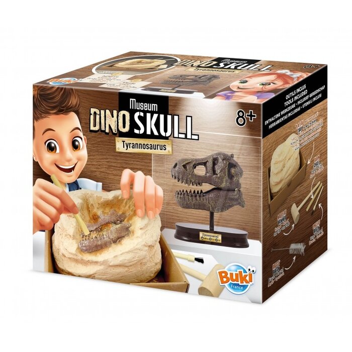 Buki Knutselpakket - Dinosaurusschedel - Tyrannosaurus opgraven