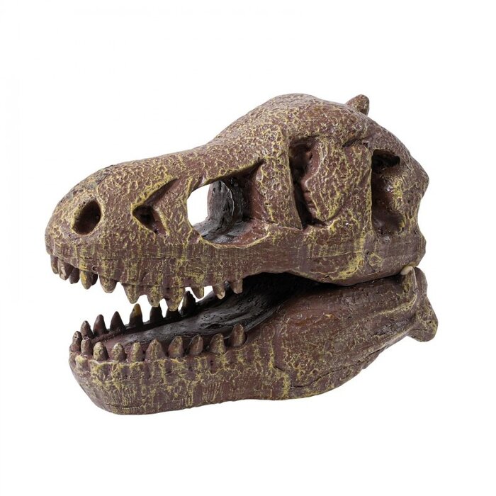 Buki Knutselpakket - Dinosaurusschedel - Tyrannosaurus opgraven