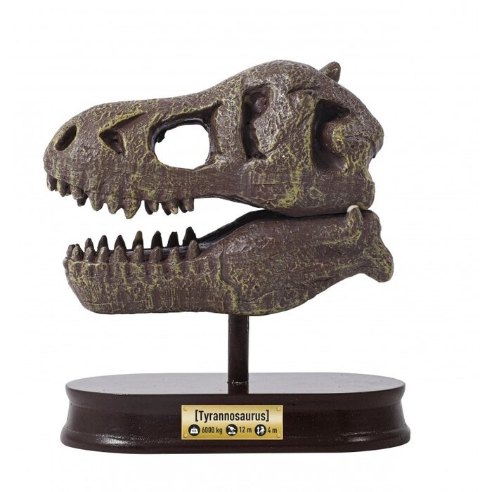 Buki Knutselpakket - Dinosaurusschedel - Tyrannosaurus opgraven