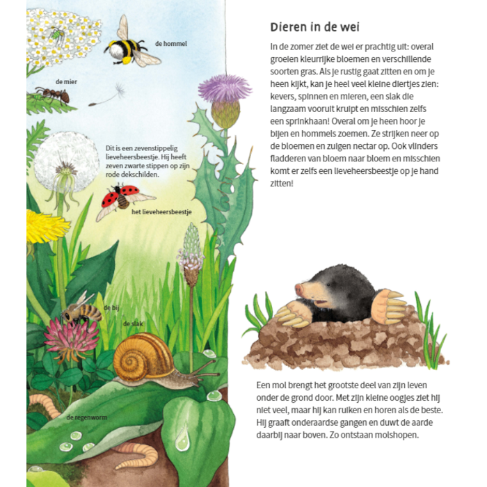 Deltas Kijk-, zoek- en leerboek voor peuters en kleuters - de dieren om ons heen