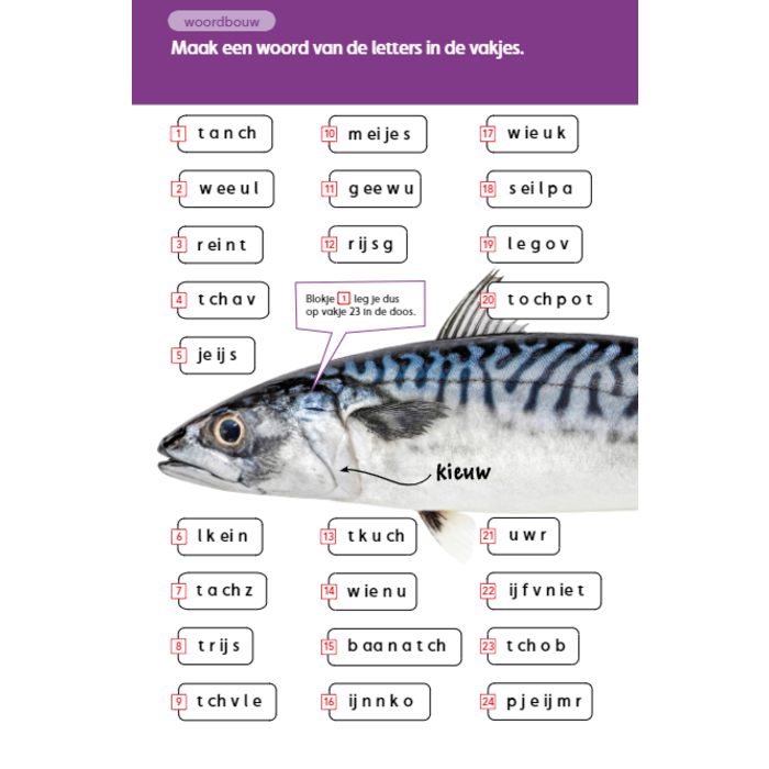 Loco Taaljacht - Taal M4/E4 (maxi)