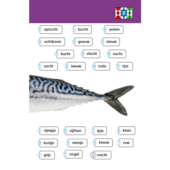 Loco Taaljacht - Taal M4/E4 (maxi)