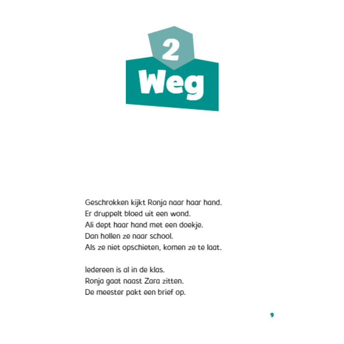 Zwijsen Dyslexie leesboek - Niet Waar (AVI - E4)