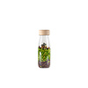 Petit Boum Sensorische fles - Jungle