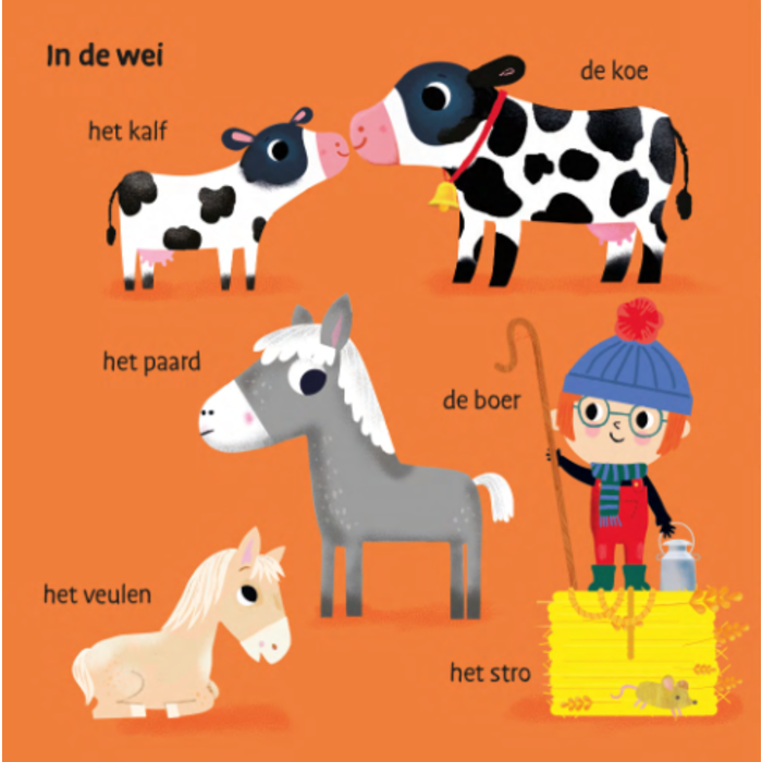 Deltas Mijn eerste woordjes - op de boerderij (kartonboekje met flapjes)