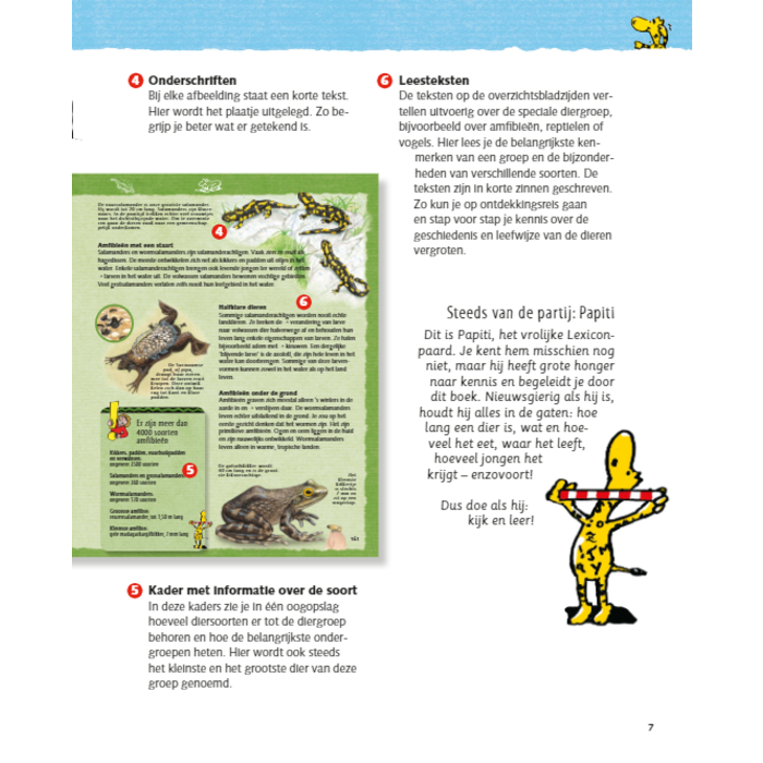 Deltas De grote junior dieren encyclopedie