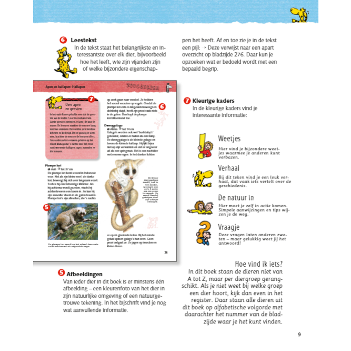 Deltas De grote junior dieren encyclopedie