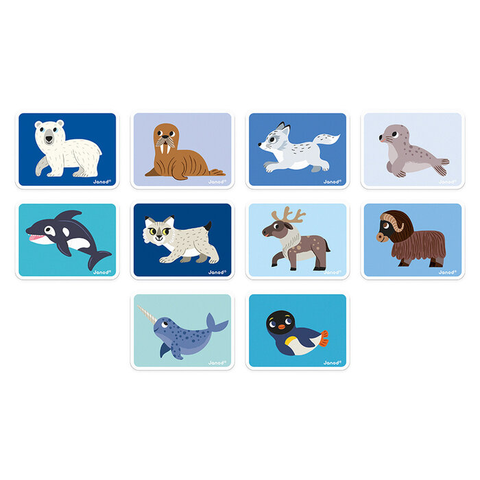 Janod Magnetibook - pooldieren
