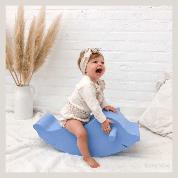 MOES Play Dolfijn - balans, evenwicht