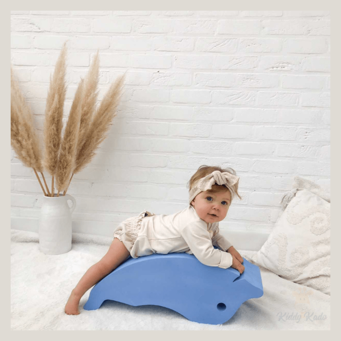 MOES Play Dolfijn - balans, evenwicht