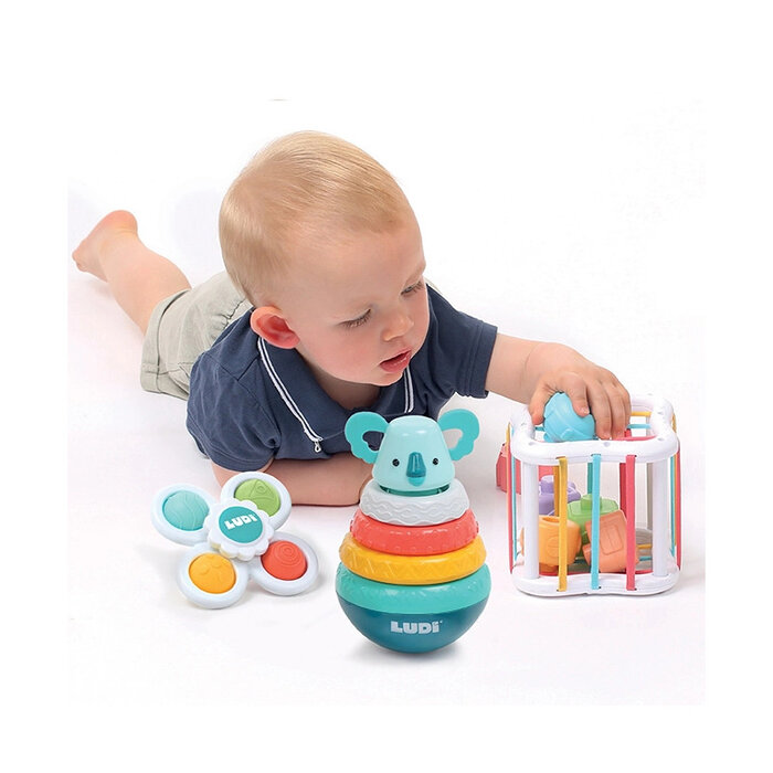 Ludi Activiteitenkoffer - manipulatiespel