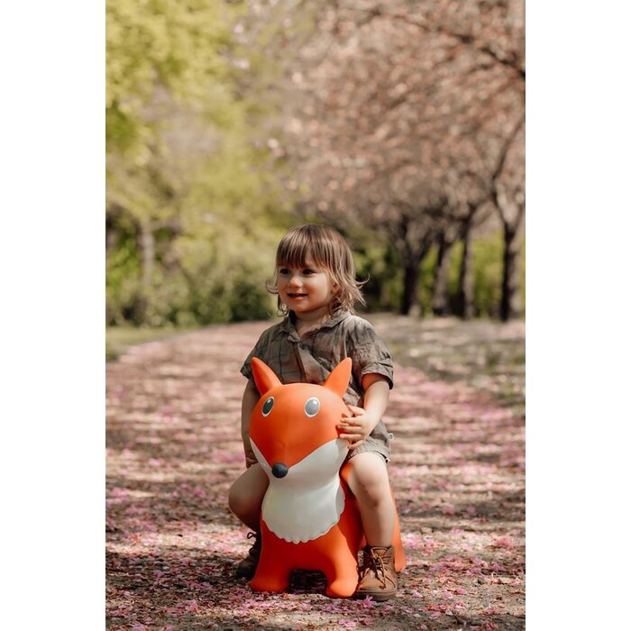 Find that hippo Skippy Springdier - Vos Lela