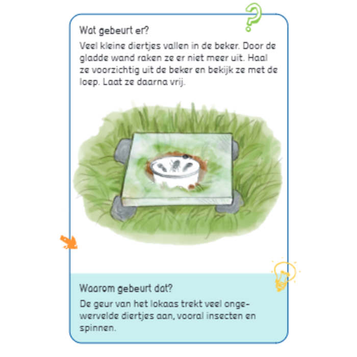 Deltas Megacoole experimenten voor buiten - 50 leuke natuurproefjes