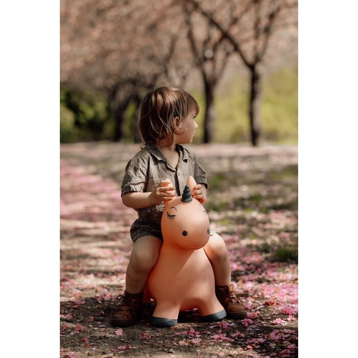 Find that hippo Skippy Springdier - Eenhoorn luna