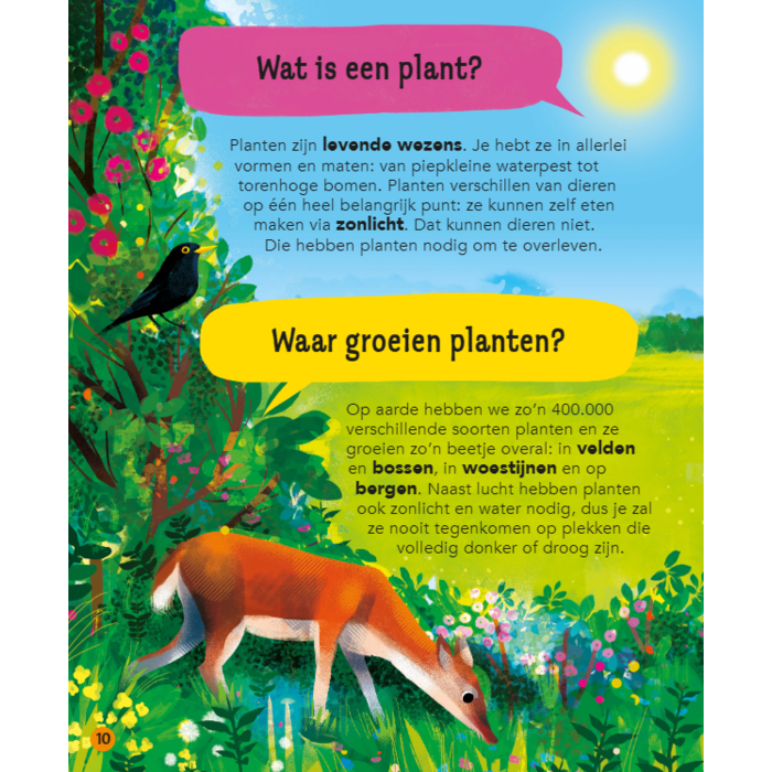 Deltas Wauw! Wist je dat al? het leukste vraag- en antwoordboek voor kinderen