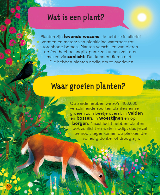 Deltas Wauw! Wist je dat al? het leukste vraag- en antwoordboek voor kinderen