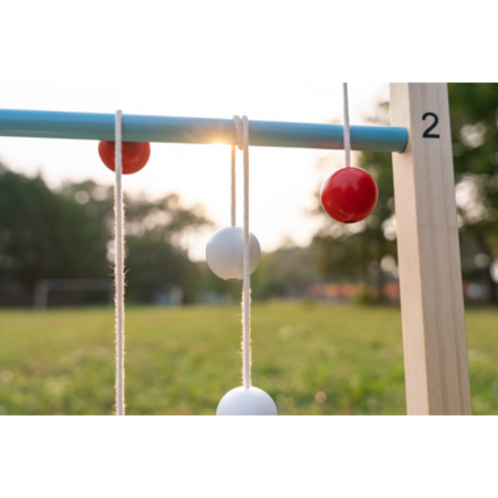 BS Toys Disc target & Ladder game