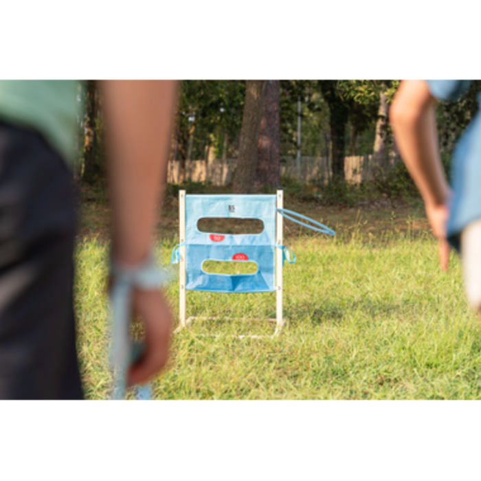 BS Toys Disc target & Ladder game
