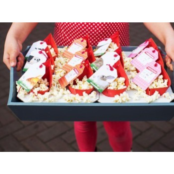 Gezinnig Traktatieklets! 3-6 jaar