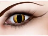 Contactlens Wolf