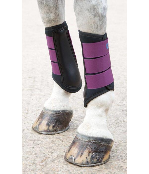 Shires Arma Neopreen beenbeschermers