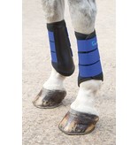 Shires Arma Neopreen beenbeschermers