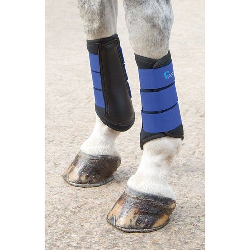 Shires Arma Neopreen beenbeschermers