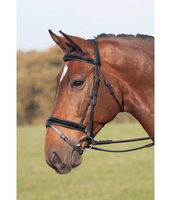 Shires Argenta Patent Dressuur Hoofdstel