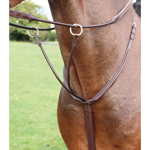Shires Adelfia ronde lederen Running Martingaal