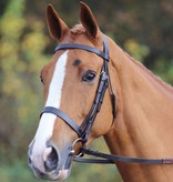 Velocity Velociti GARA hoofdstel