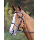 Velocity Gara Velociti GARA hoofdstel