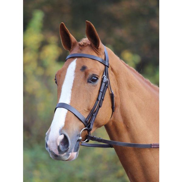 Velociti GARA hoofdstel