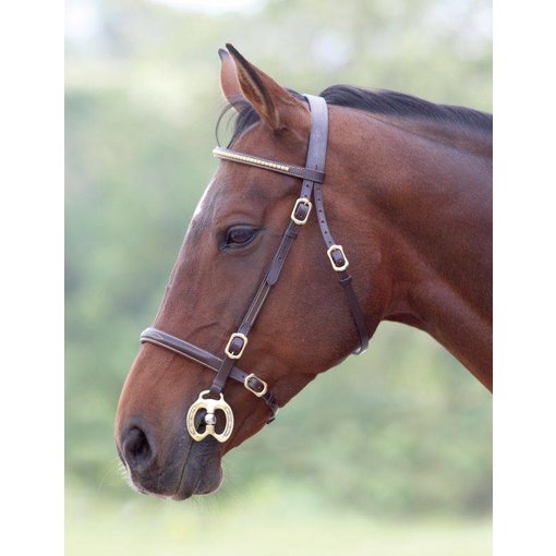 Blenheim Blenheim Clincher Show Hoofdstel