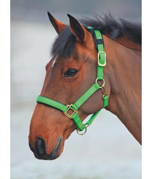 Shires Topaz Luxe Nylon Halsters