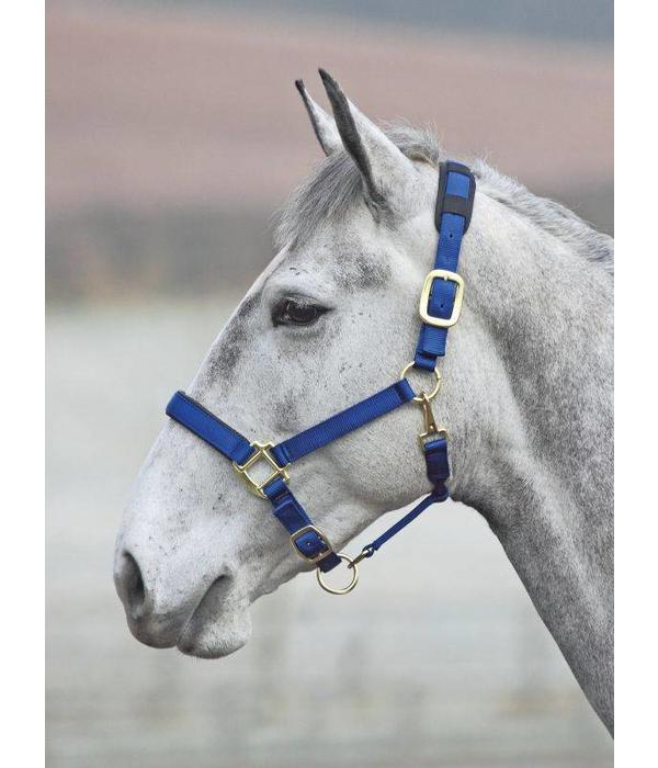 Shires Topaz Luxe Nylon Halsters